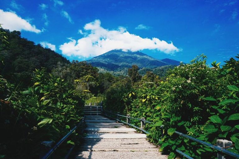 Keindahan Wisata Gunung Gede Pangrango