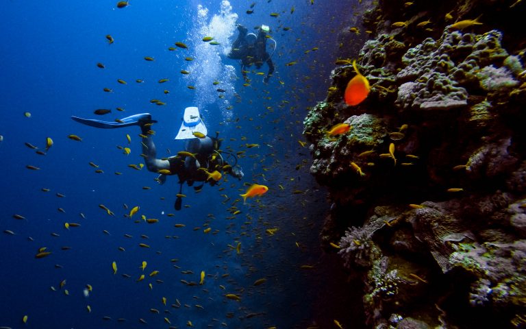 4 Lokasi Diving Spot Terbaik di Indonesia yang Wajib Kamu Jelajahi!