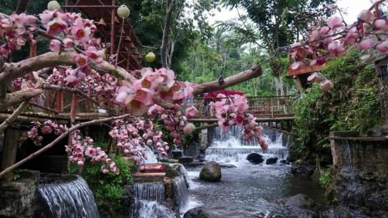 Berkunjung ke Wisata Alam Umbulan Tanaka Malang, Sajikan Panorama Alam ala Negara Jepang