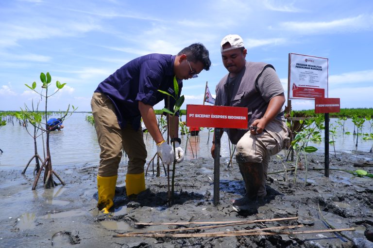 Konversi Sampah Jadi Pohon, SiCepat Ekspres Gandeng Duitin Tanam 1.000 Bibit Mangrove di Brebes