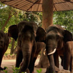 4 Destinasi Wisata Di Jakarta Yang Sudah Dibuka Kembali Saat New Normal