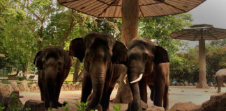 4 Destinasi Wisata Di Jakarta Yang Sudah Dibuka Kembali Saat New Normal