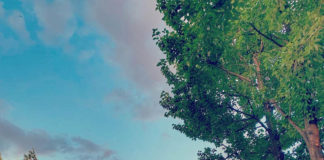 4 Surga Tersembunyi di Korea Selatan