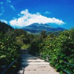 Keindahan Wisata Gunung Gede Pangrango