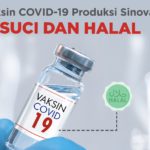Vaksin Sinovac Dinyatakan Halal