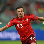 Swiss Pastikan Turki Pulang Kampung