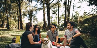 Tips Traveling Bersama Hewan Peliharaan