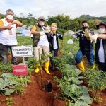 SiCepat Dukung GNPDAS dengan Menanam Bibit Pohon