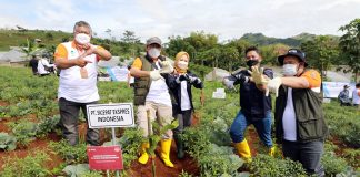 SiCepat Dukung GNPDAS dengan Menanam Bibit Pohon