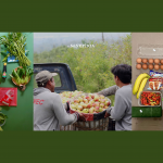 Tukar Poin GRES dengan Belanja Buah dan Sayuran Segar di Sayurbox Yuk, tukar poin GRES milikmu untuk belanja sayur dan buah segar di Sayur Box