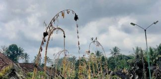 5 Tempat Makan di Bali yang Halal dan Ramah Kantong, Cobain Yuk!