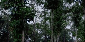 Kawasan Tebet Eco Park Kini Jadi Pilihan Wisata Berlibur Dalam Kota