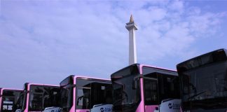TransJakarta Kembali Operasikan Bus Pink Khusus Wanita TransJakarta wanita