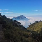 Mendaki Gunung, Jadi Hobi Sekaligus Cara untuk Tingkatkan Produktivitas Kerja Mendaki gunung
