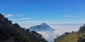 Mendaki Gunung, Jadi Hobi Sekaligus Cara untuk Tingkatkan Produktivitas Kerja Mendaki gunung