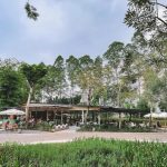 Spot Terbaru untuk Healing di Jaksel, Urban Forest Cipete Urban Forest Cipete