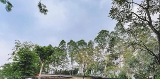 Spot Terbaru untuk Healing di Jaksel, Urban Forest Cipete Urban Forest Cipete