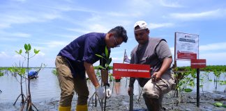 Konversi Sampah Jadi Pohon, SiCepat Ekspres Gandeng Duitin Tanam 1.000 Bibit Mangrove di Brebes